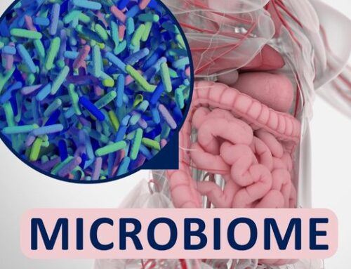 Intro to the Gut Microbiome