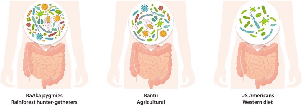 Intro To The Gut Microbiome Livaux® 5079