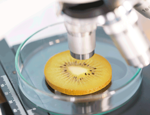 Kiwifruit Pectin and Its Importance to Colon Health