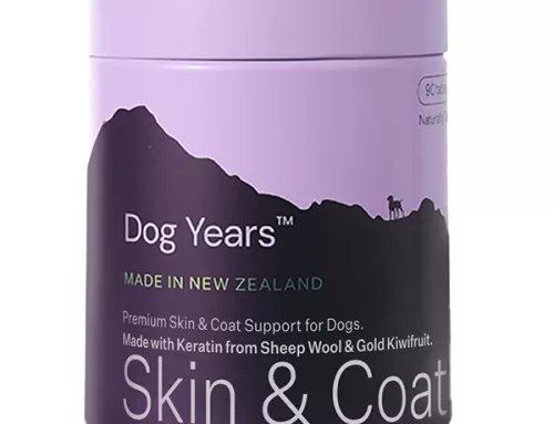 Dog Years Skin & Coat Supplement for Dogs