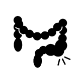 abdominal-upated