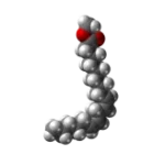 fatty-acid updated
