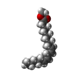 fatty-acid updated