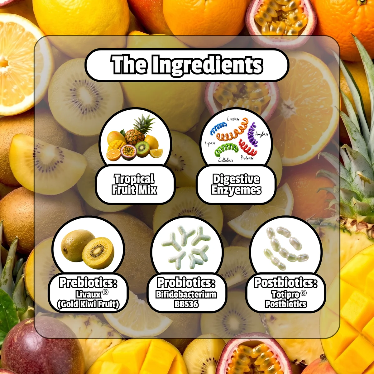 13_fcacc1dd-f46d-41b4-b389-b821644f98ee Infographic panel titled The Ingredients over a fruit collage; icons for Tropical Fruit Mix, Digestive Enzymes, Prebiotics Livaux Gold Kiwi Fruit, Probiotics Bifidobacterium BB536, and Postbiotics Totipro Postbiotics.