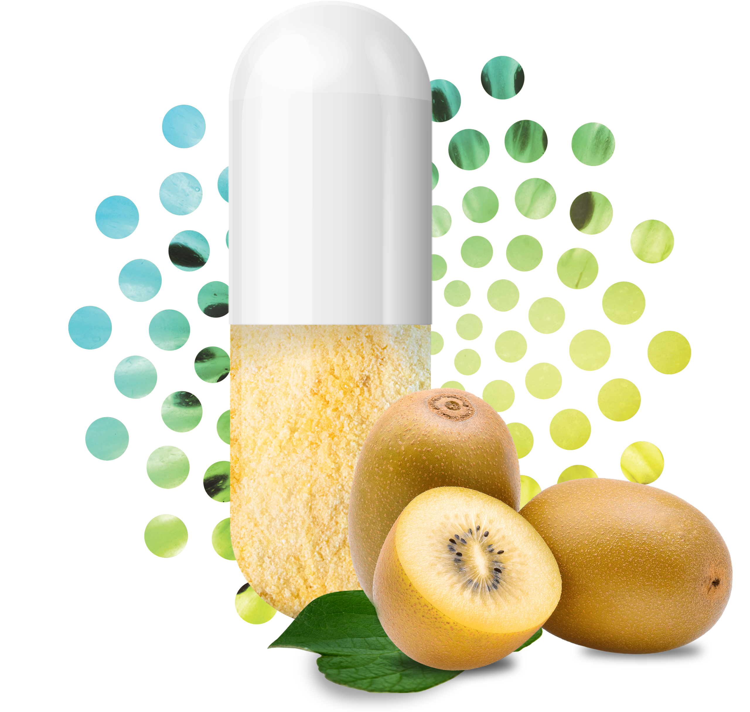 Livaux gold kiwifruit powder capsule Livaux gold kiwifruit powder inside a capsule, with whole gold kiwifruit alongside